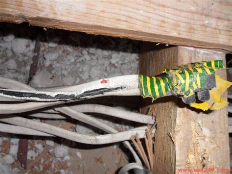 animals damaging electrical box|rodent damage to electrical system.